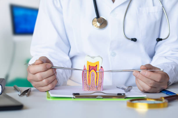 Best Broken or Cracked Tooth Emergency Dentist in Highland, MD